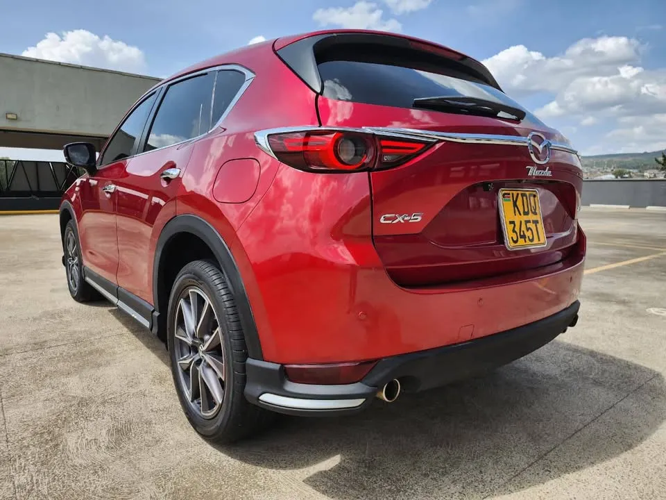 614079717_816145371481821_6647542467526323099_n (1).webp