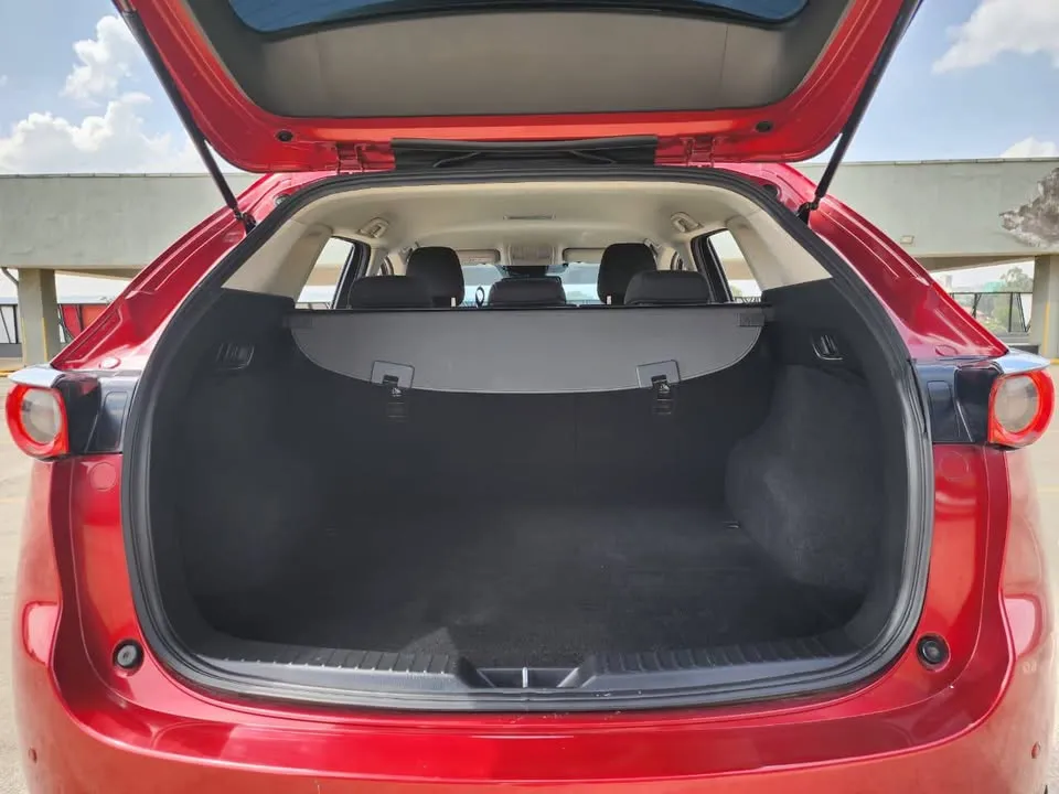 613728340_816145441481814_4491118868339426293_n (1).webp